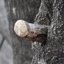 꼭대기산장 이미지