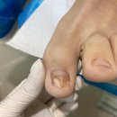 레푸스 영통점 이미지