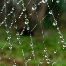 플러스펜일러스트 이미지