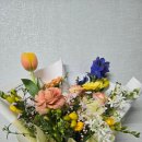 더하우스갑을 이미지