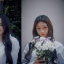 당카 이미지