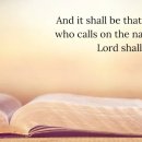 Bible Reading - Acts 2:12 ~21 이미지
