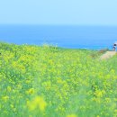 바다가 보이는 풍경 이미지