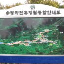 경북 칠곡군 석적면 (기반산) 산행 이미지