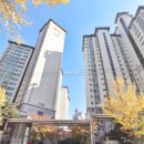 마루 공인중개사사무소 이미지