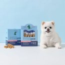 펫라이프 이미지