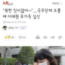 북한 짓이잖아~'…극우단체 조롱에 이태원 유가족 실신(클량) 이미지