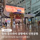 발리 응우라이 공항 출국 후기 대한항공 탑승 인천공항 도착