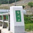 황지교