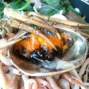 참게랑메기랑 이미지