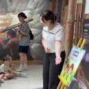 우가차카