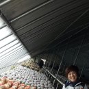 구미선인장농원