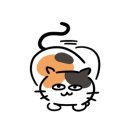 모여봐요 고양이 카페 이미지
