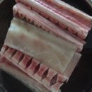 상어네 간식 이미지