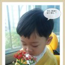 사랑꽃집 이미지