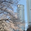 개방천 네이버블로그