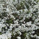 이재락자동차병원 이미지