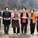 도사리경로당 이미지