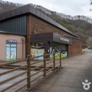 사람과자연 이미지