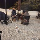 애견스테이해피하개 | 강아지 동반 호텔, bbq 가능한 켄싱턴리조트 충주 찐 후기!!