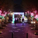 2025년 강서봄빛페스타 | 2025 강서 봄빛 페스타 일정 및 축제 안내 | 서울 여행