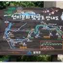 함양화림계곡-선비옛길트레킹(2014,8,24)170회 이미지