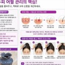 두피;탈모관리전문;염색