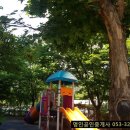 부영아파트 209동 앞 이미지
