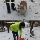 똘똘이농장 이미지