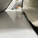 반곡동 작은동물병원 이미지