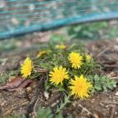 한스메디팜 이미지