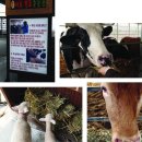 솔뫼목장 이미지