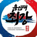 용인대아이사랑태권도장 이미지