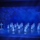 250418 유니버설발레단 Giselle 후기- 전민철 미쳤당