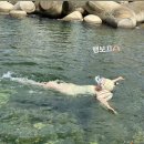 대본3리 이미지