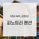 피노트리 네이버블로그
