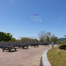 중극장 옥상1 이미지