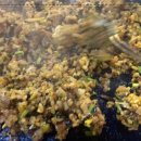 김치콩나물 삼겹살 이미지