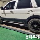 붕따우게러지 이미지