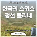 하늘연못팬션 | 한국의 스위스 강원도 정선 민둥산 돌리네 연못 등산기 (feat. 정선 가볼만한 곳 / 정선 민둥산 정상...