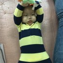 꼬노꼬노 이미지