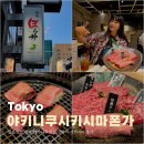 노미목장 | 일본 도쿄 긴자 야키니쿠 맛집 신바시 시키시마 폰가