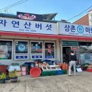 상촌보건지소 이미지