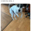 와와산업 | [메이일기] 단종오빠 공방후기... | 260502 음중 사녹