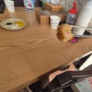 서민짬뽕 | 통영 광도면 죽림 가성비 중국집 복짬뽕｜배부르고 맛있게 먹은 솔직 후기