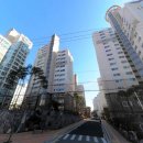 센추리부동산공인중개사사무소 이미지