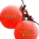 달달하루