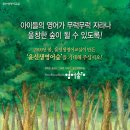 윤선생영어영어숲