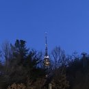 45년부대찌게 | 욕이 정말 많은 1번지남산왕돈가스의 솔직후기 근데 도대체 어디가 원조인거야?
