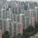 주공7단지길 이미지